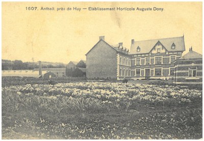 Etablissement Horticole Auguste Dony - Antheit
