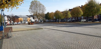 29 Tilleuls de Hollande et 1 Platane, Place Faniel à Wanze