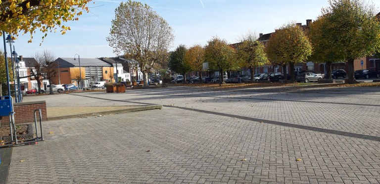 29 Tilleuls de Hollande et 1 Platane, Place Faniel à Wanze