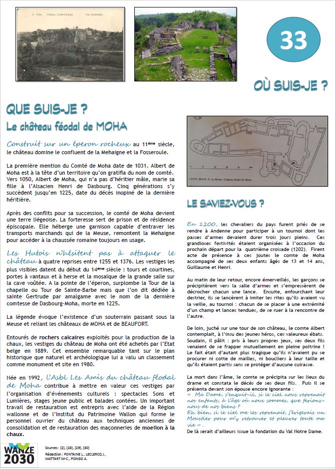Château féodal de Moha