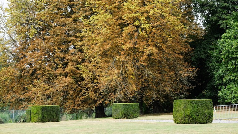 Château de Vinalmont - sept 2016