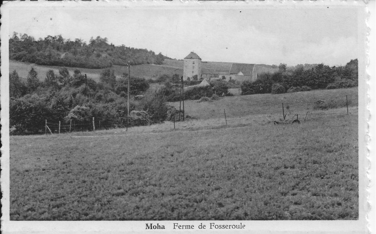 Ferme Château de Fosseroule - Wanze