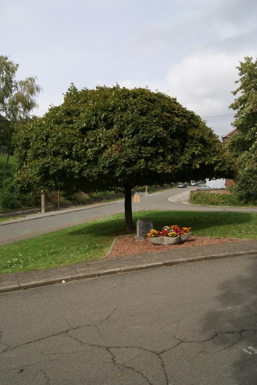 Monument commémoratif (Arbre et Pierre) de la libération des camps le 11 mai 1945 à Bas-Oha