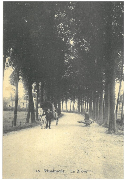 La Drève de Vinalmont