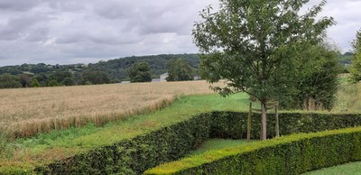 Rue du Cerisier à Wanze