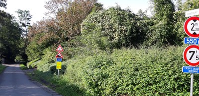 Rue Fond du Ry à Bas-Oha
