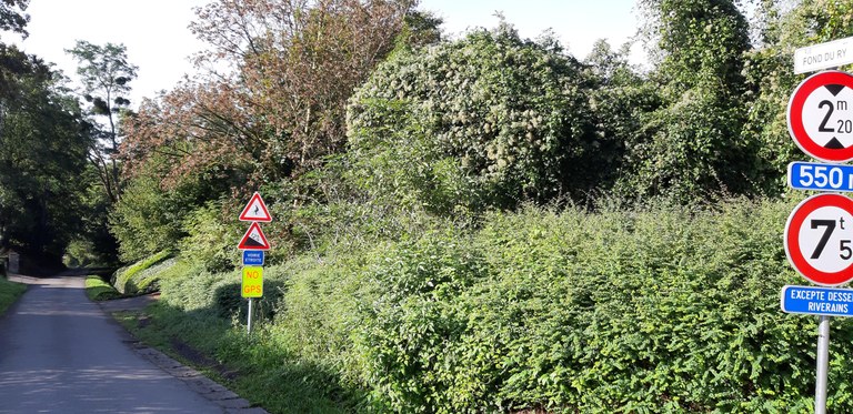 Rue Fond du Ry à Bas-Oha