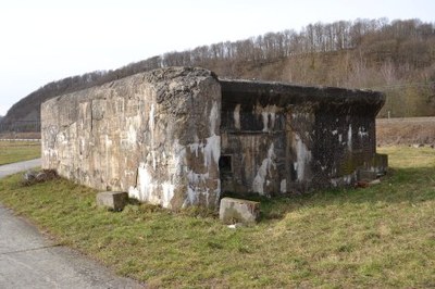 Fortins en bord de Meuse à Bas-Oha