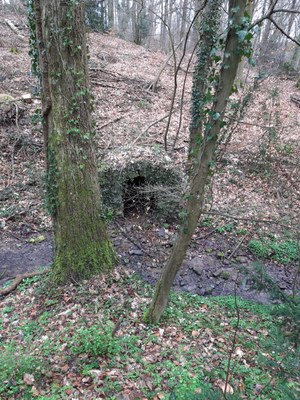 Puits de l'Ermite dans le bois du château de Laminne